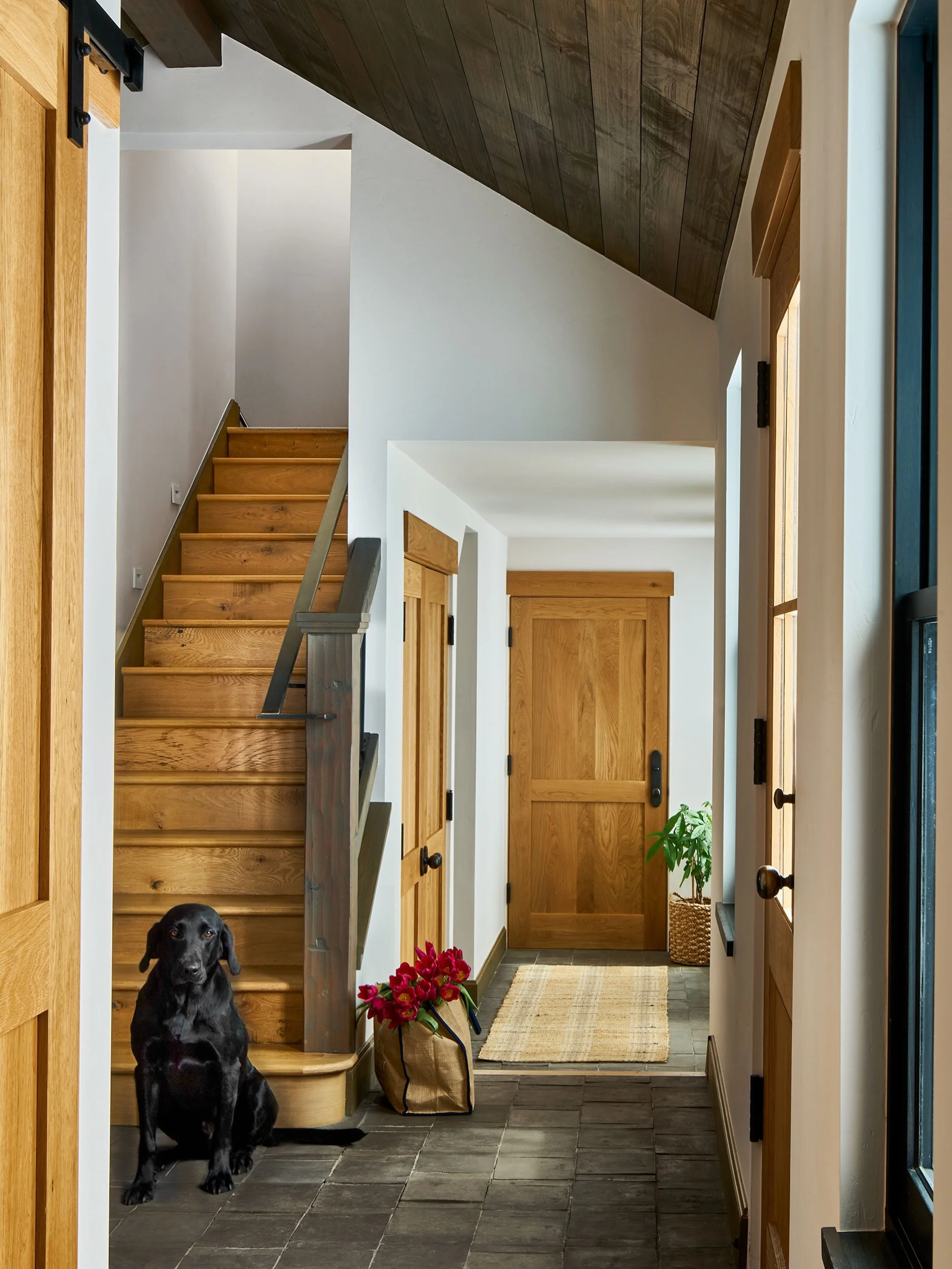 Special guest appearance- Goose!  We take into account all family members when making durable and beautiful selections.  #ibddesignstudio