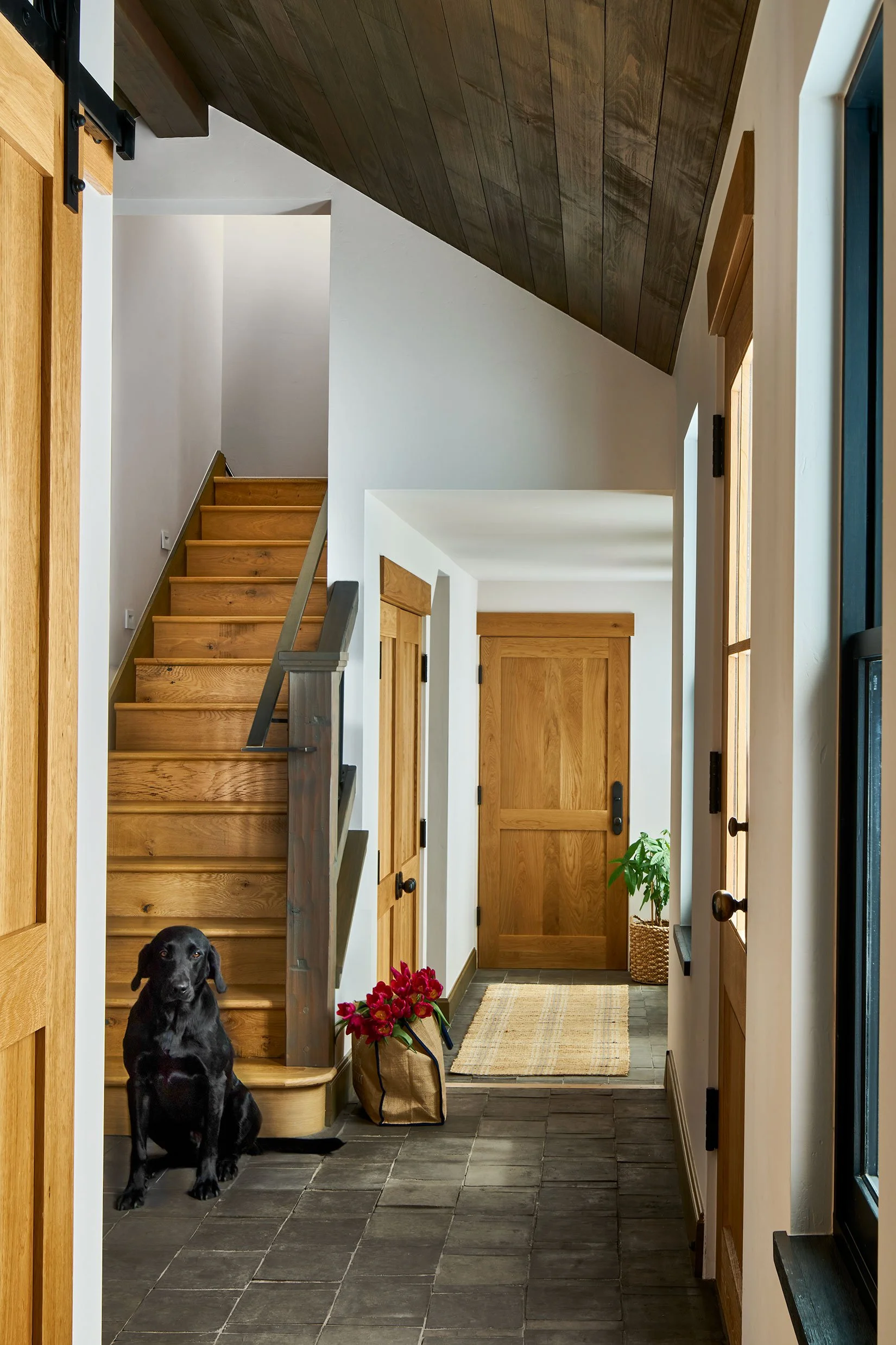 IBD-102-French-St-03-25-26-Entry-W-Dog-Web.jpg