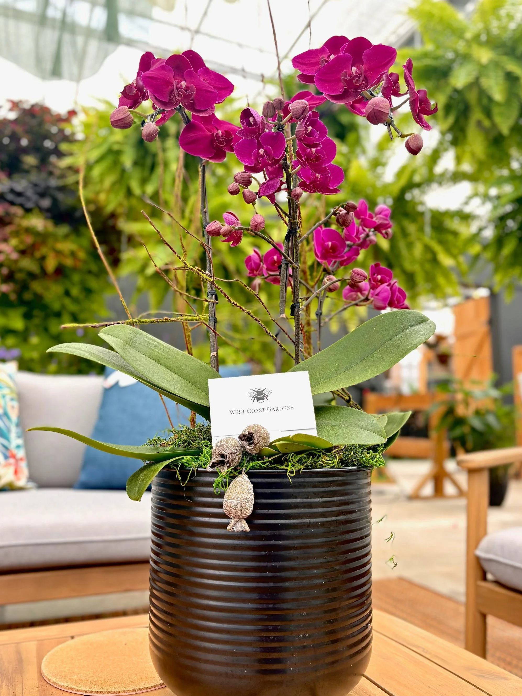 West Coast Gardens - Floral Arrangement & Gift Card
