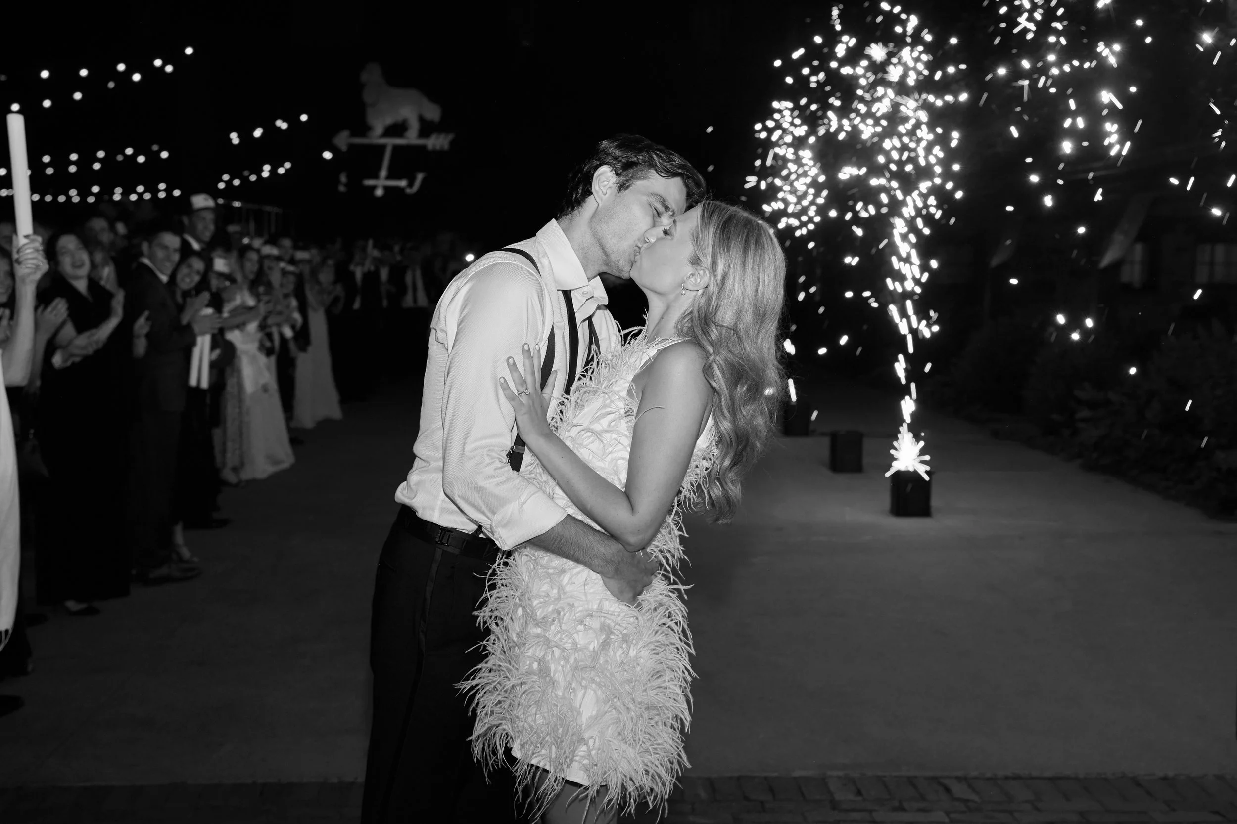 Hayley Pfitzer Photography