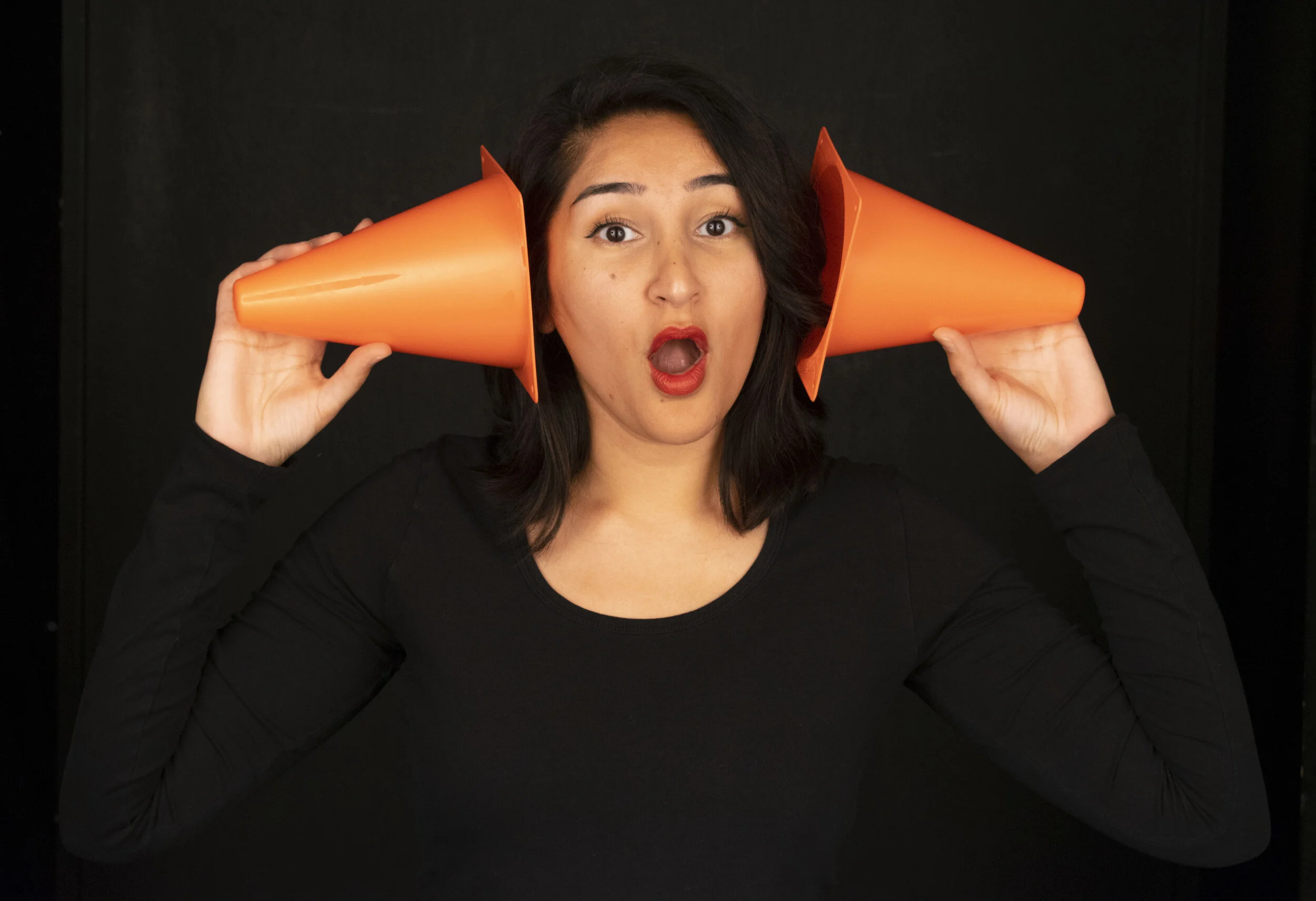 Pion 3c verkleind.jpg