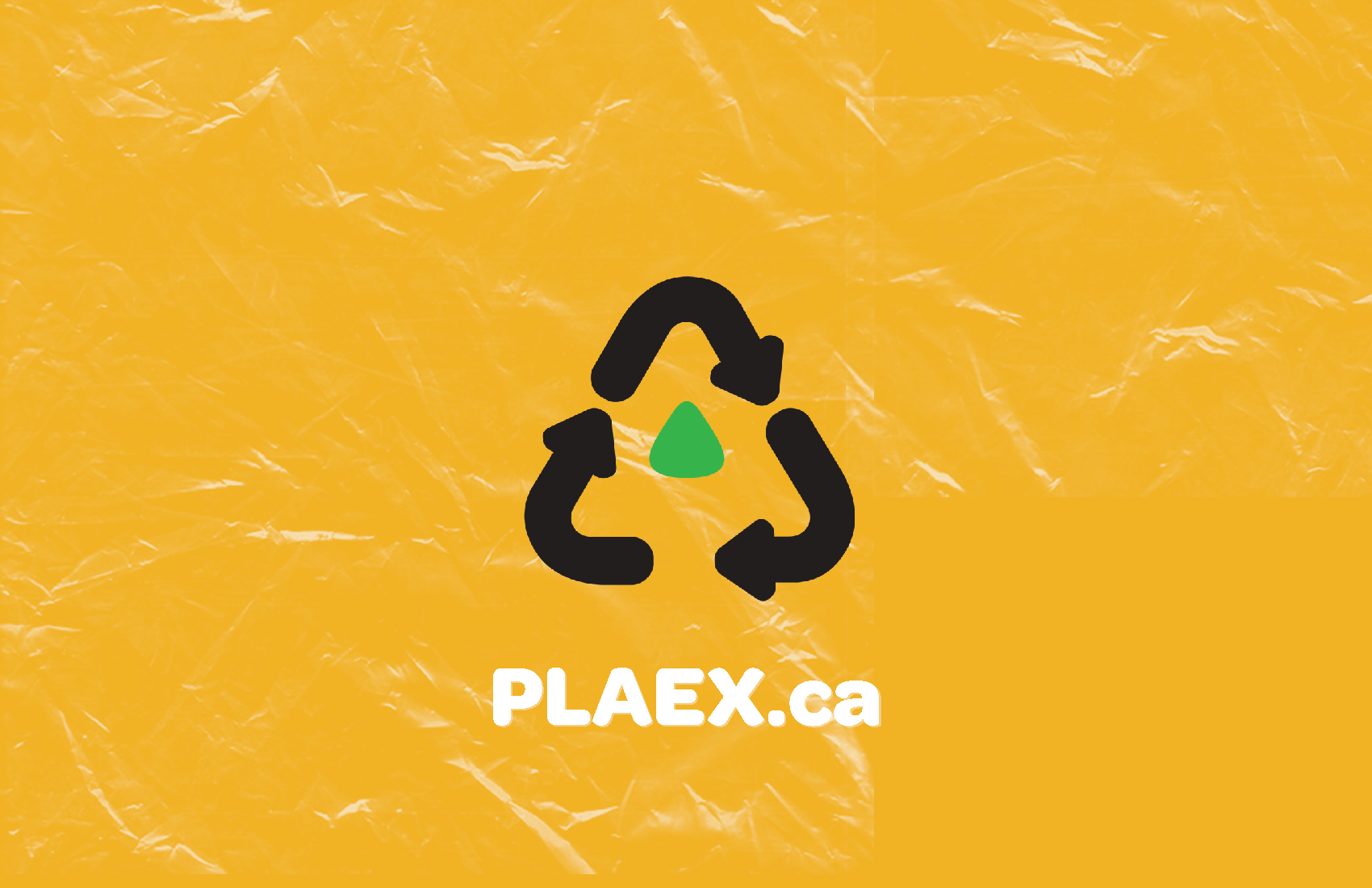 PLAEX EPR Guidelines 2025_Page_9.png
