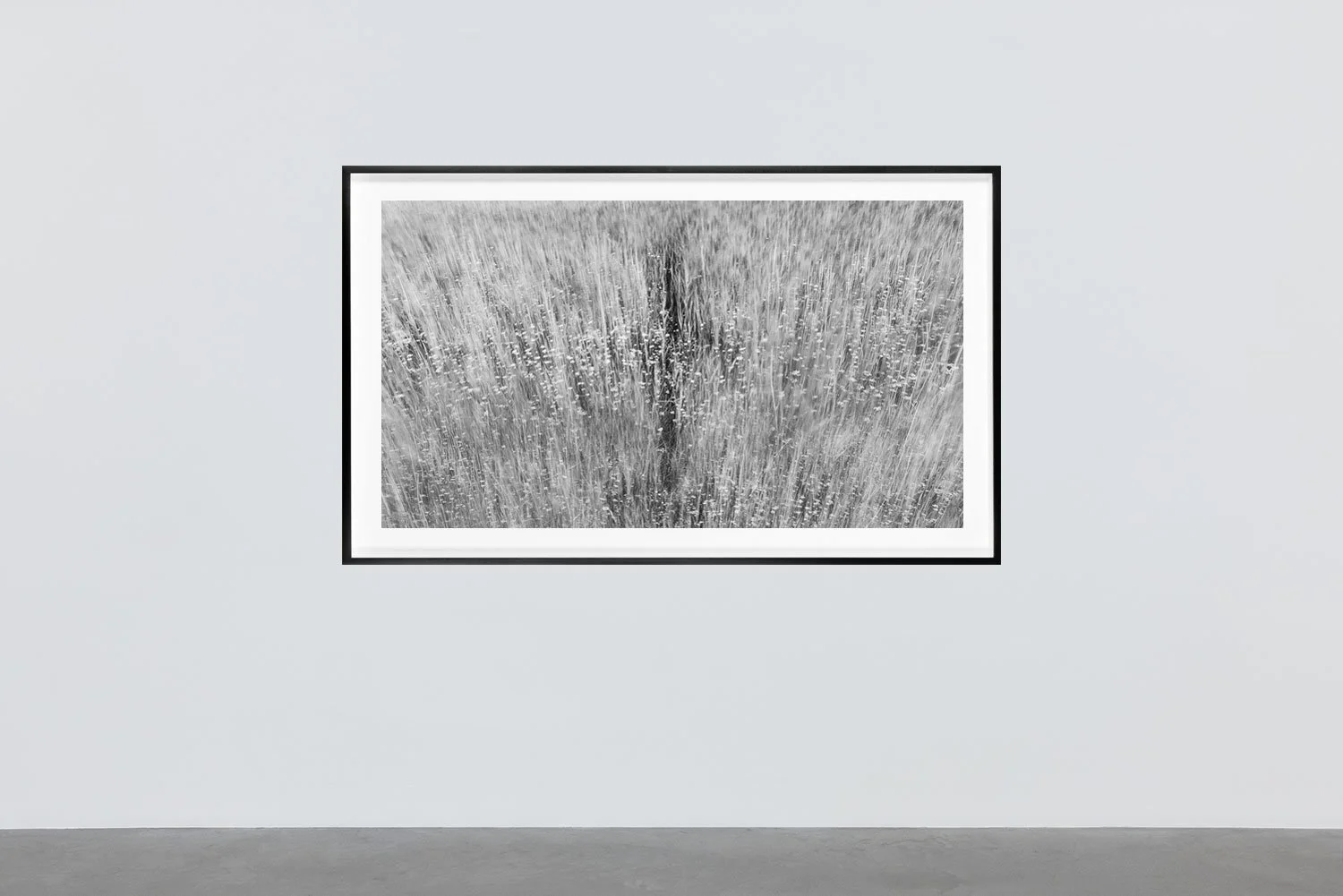 003_Now-and-now_Copyright-Richard-Boll_Gallery.jpg