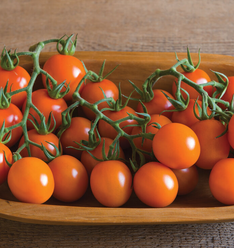 Screenshot 2026-04-12 at 8.40.44 AM.png