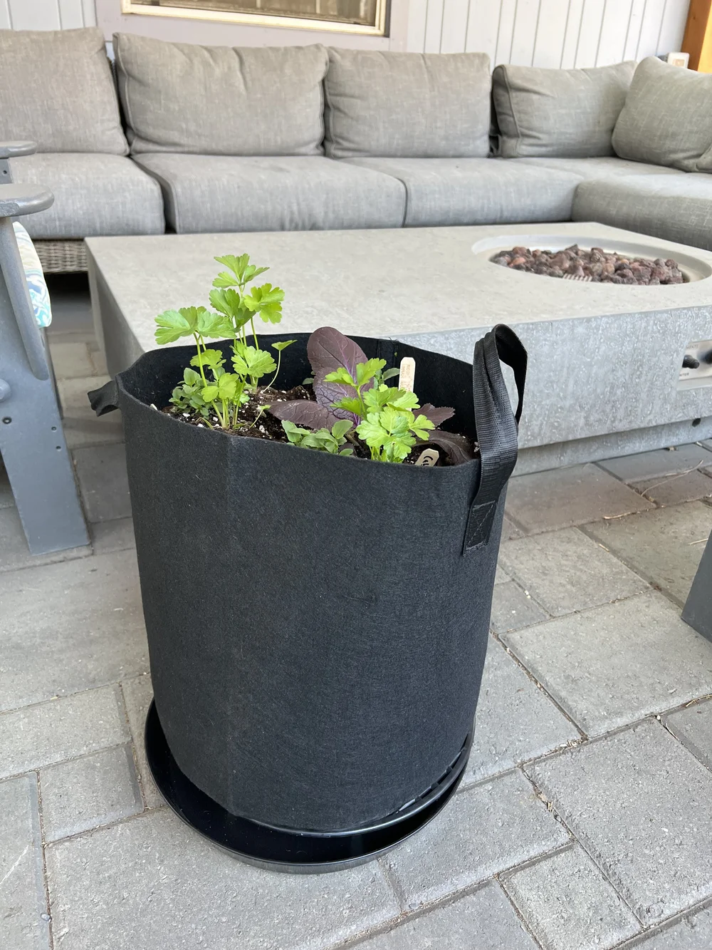 Current Items Available Bend Urban Gardens