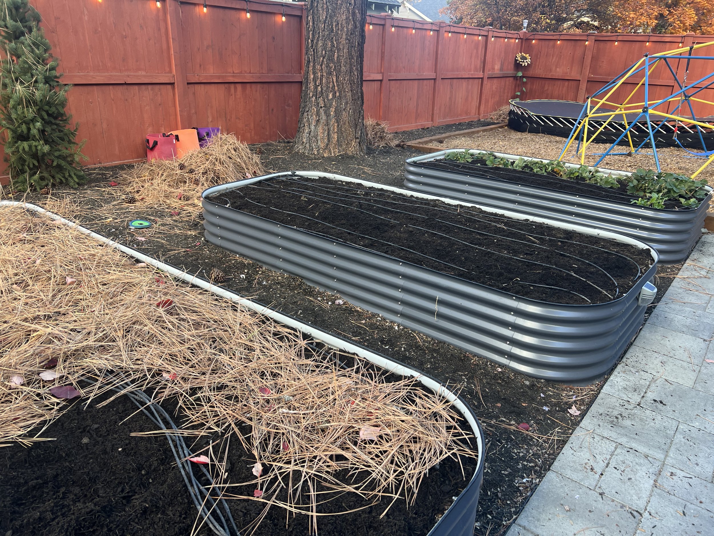 Mulched garden beds