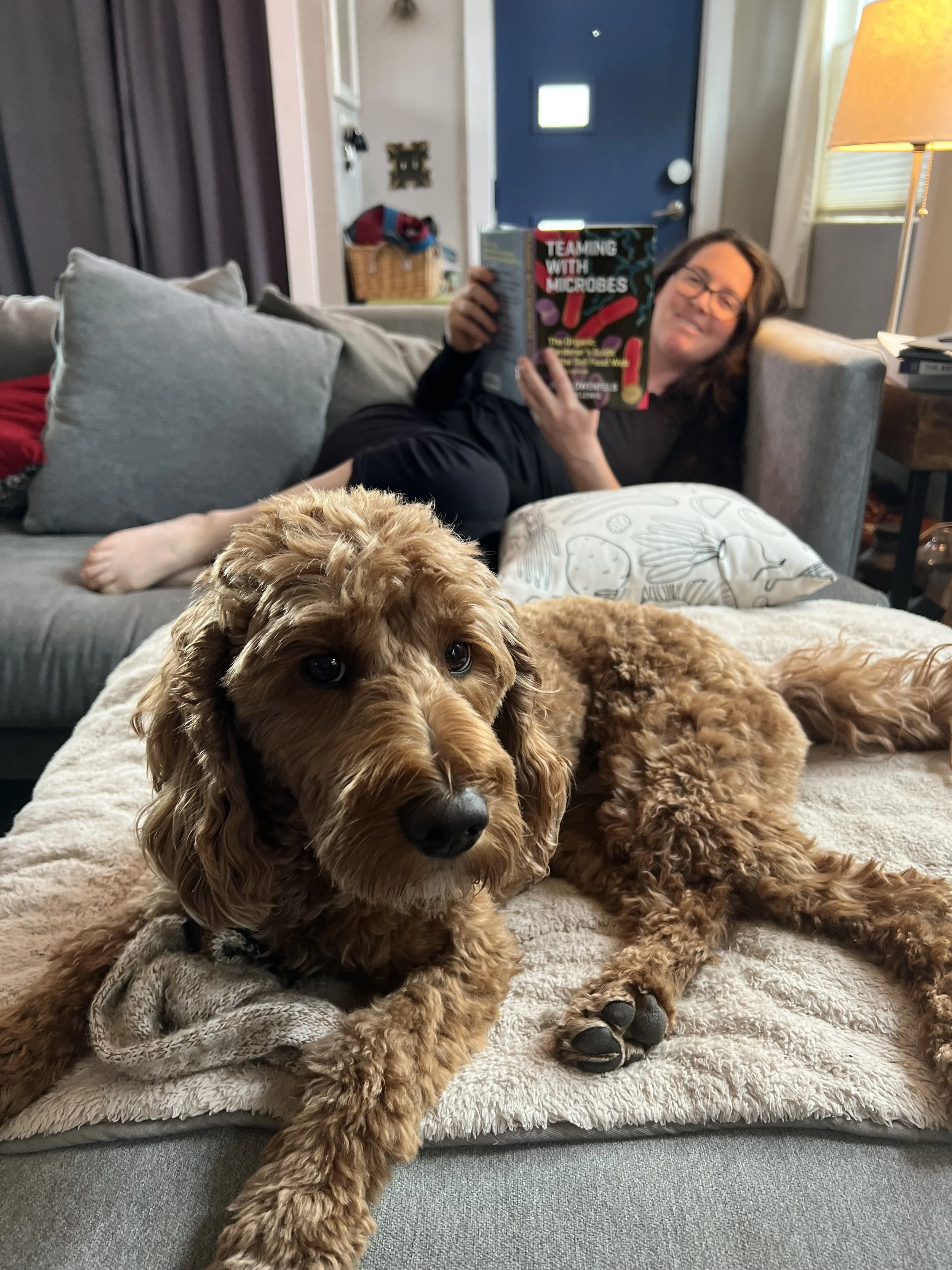 Do you have any book or podcast recommendations to help me become a smarter food gardener?