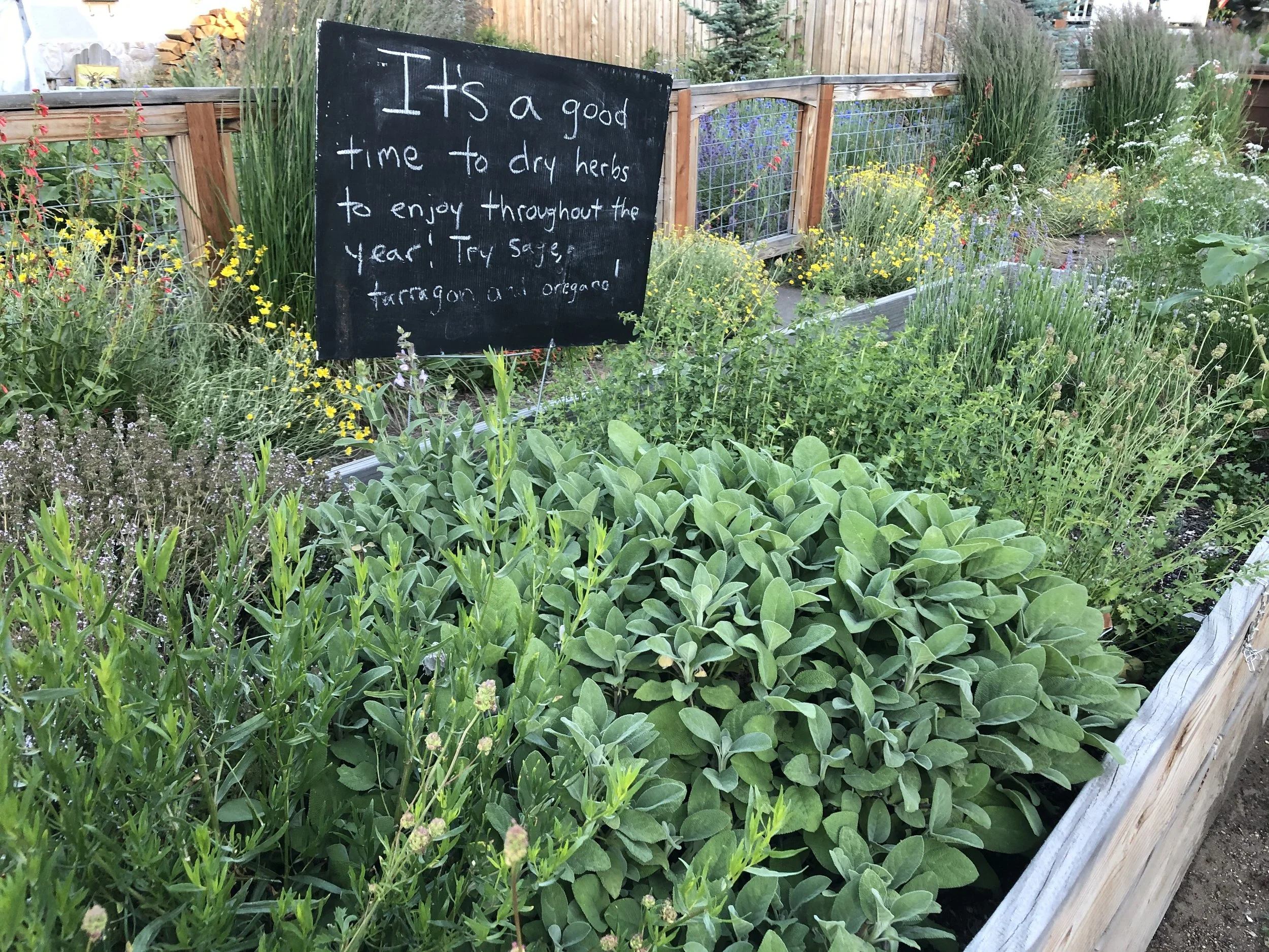 How does gardening actually  build community?