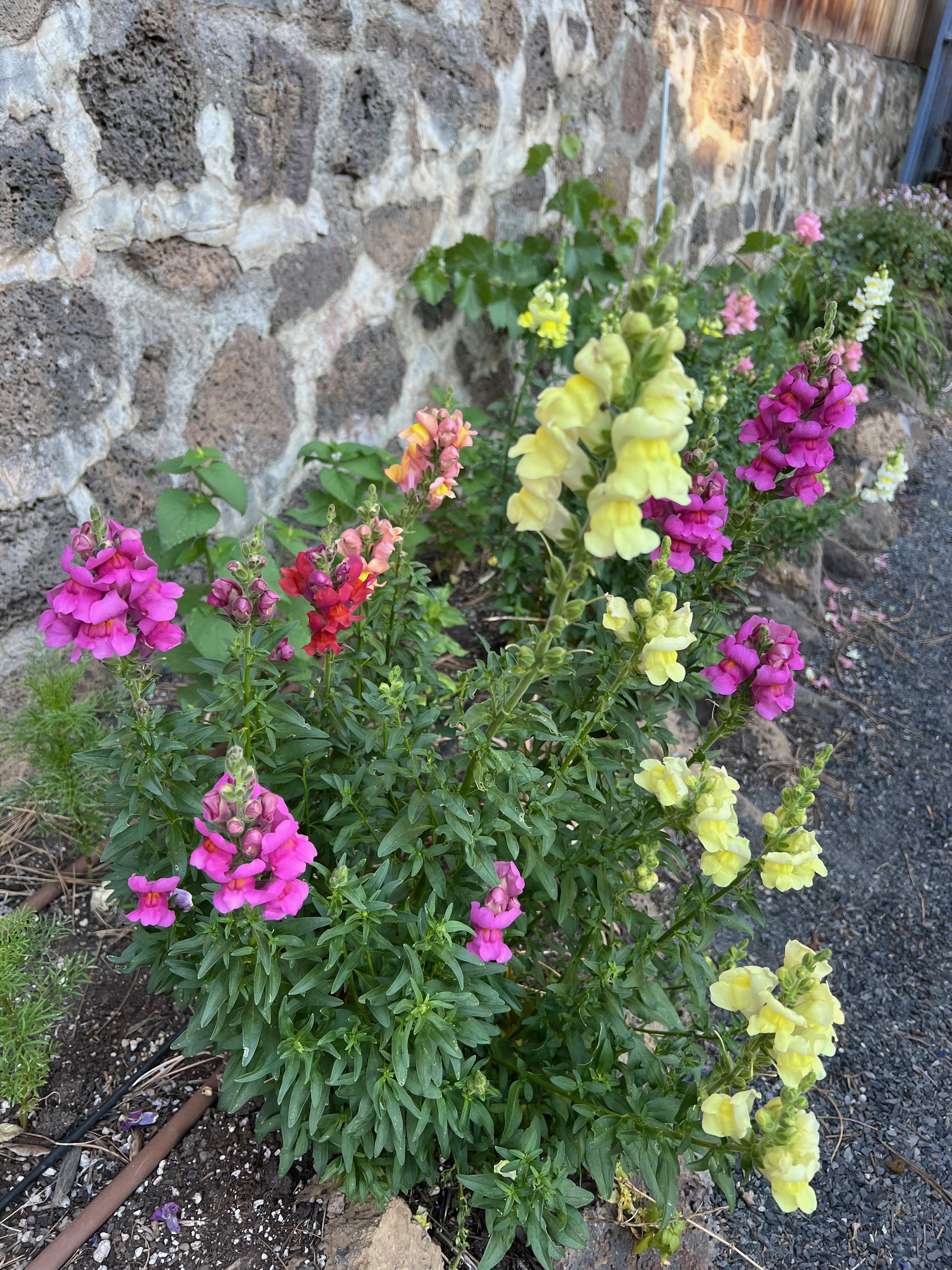 IMG_0944.jpeg