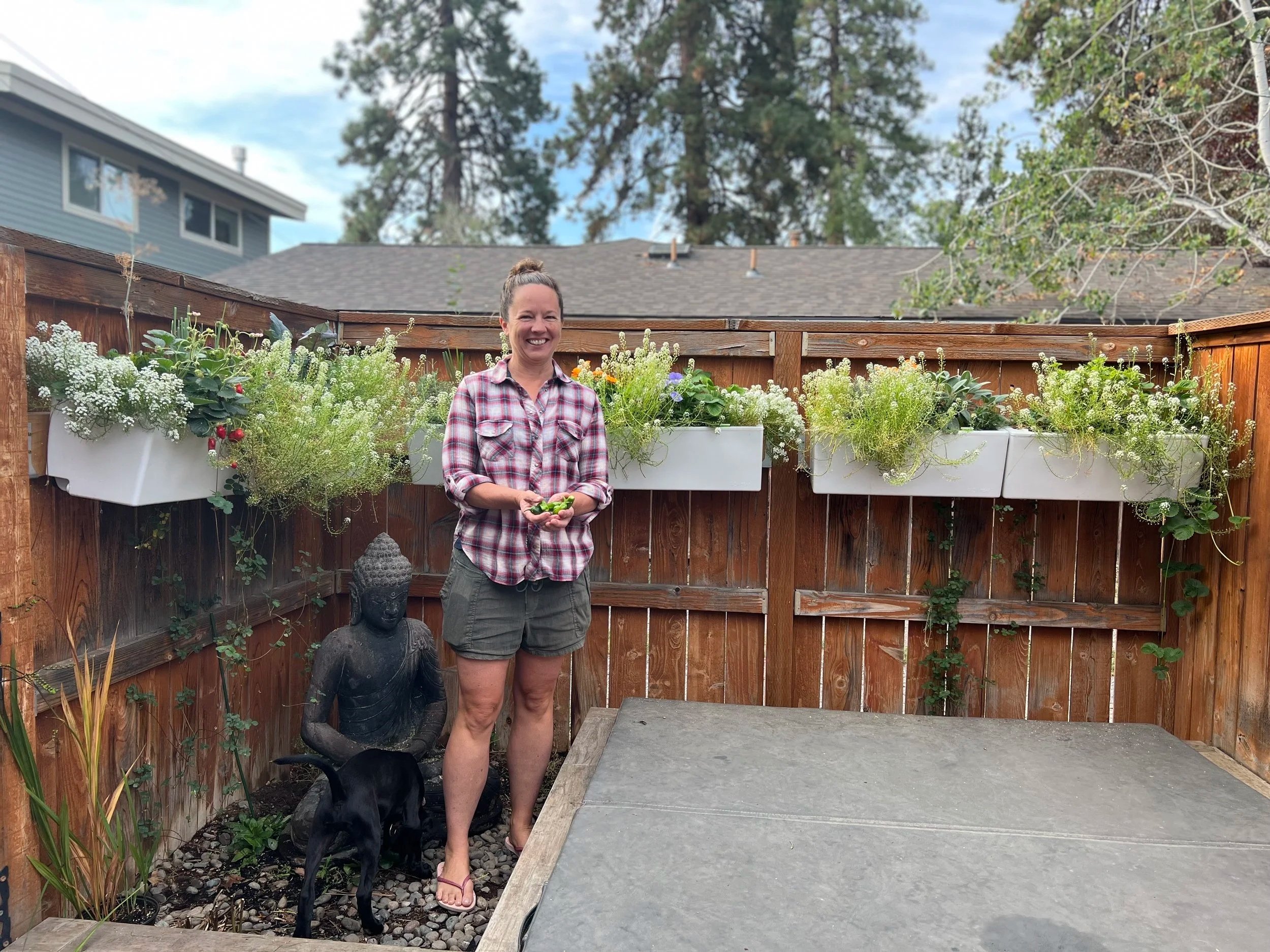 Transforming a Side Yard into a Sanctuary