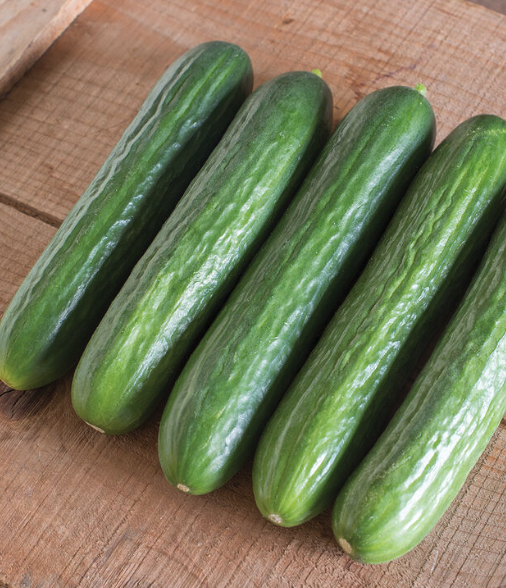 Screenshot 2026-04-12 at 11.01.29 AM.png