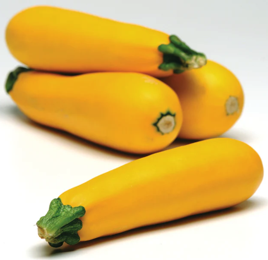 Screenshot 2026-04-12 at 11.06.38 AM.png