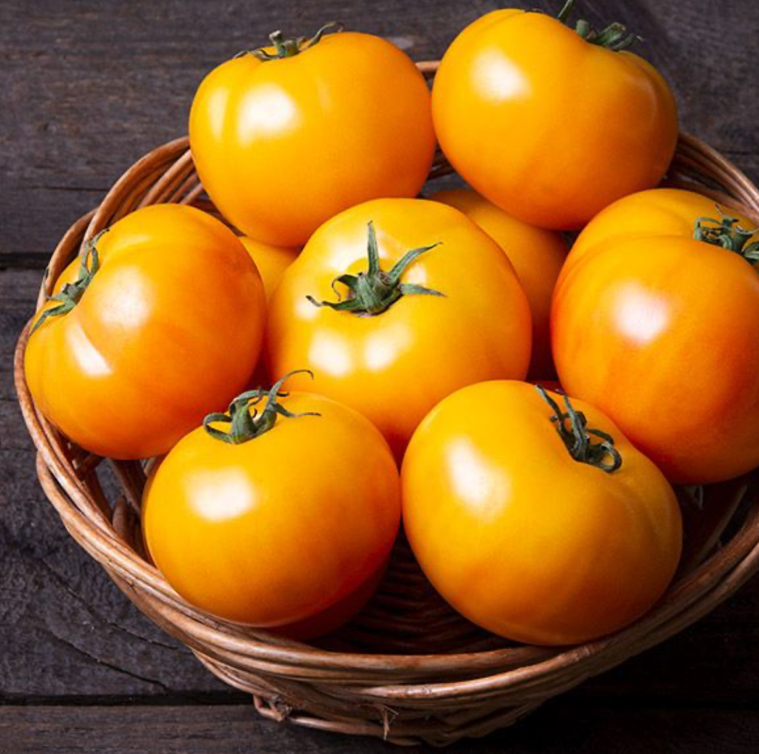 Screenshot 2026-04-12 at 8.38.22 AM.png