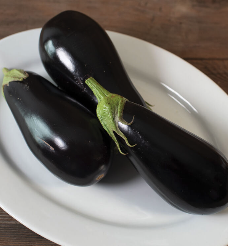 Screenshot 2026-04-12 at 10.18.09 AM.png