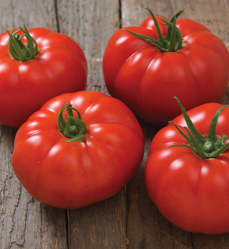 Screenshot 2026-04-12 at 8.43.23 AM.png