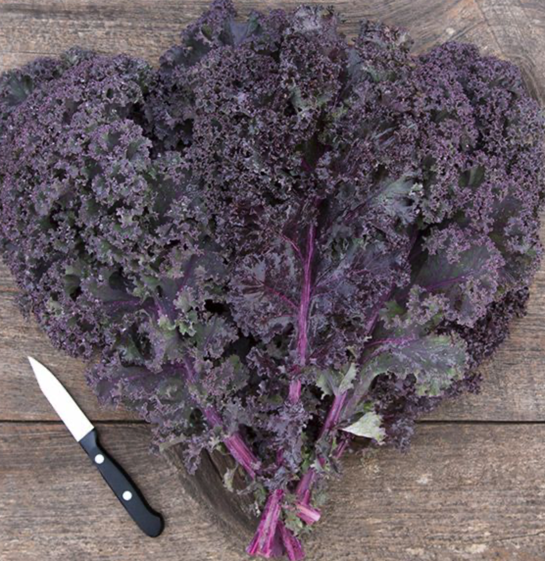 Screenshot 2026-04-12 at 7.57.00 AM.png