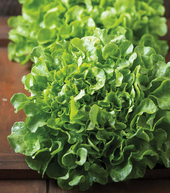 Screenshot 2026-04-12 at 7.21.46 AM.png