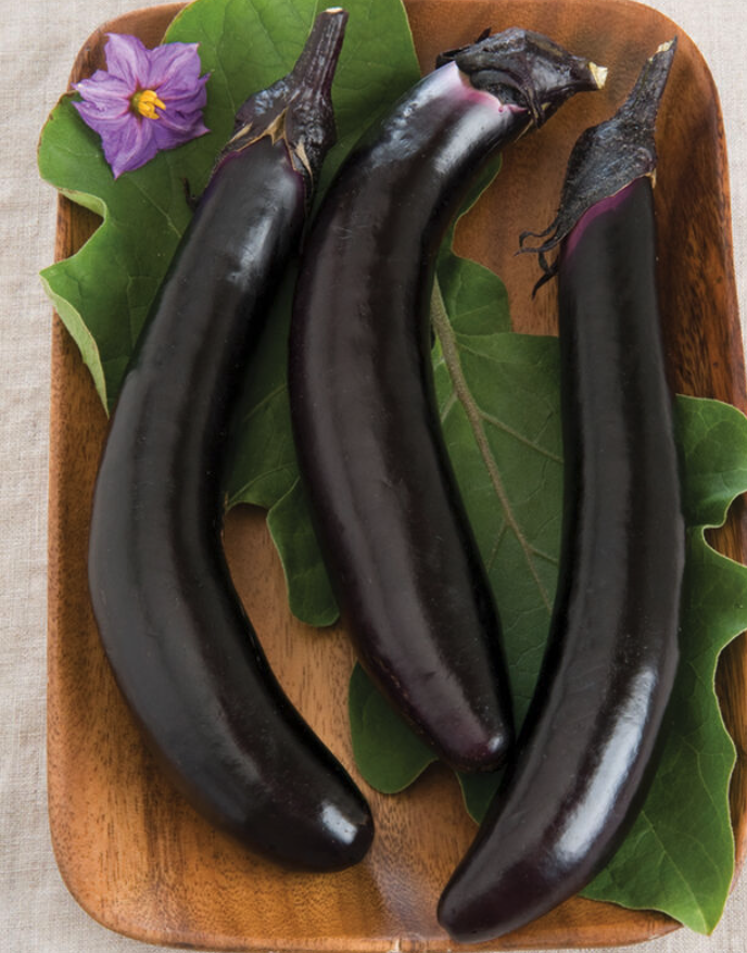 Screenshot 2026-04-12 at 10.20.18 AM.png