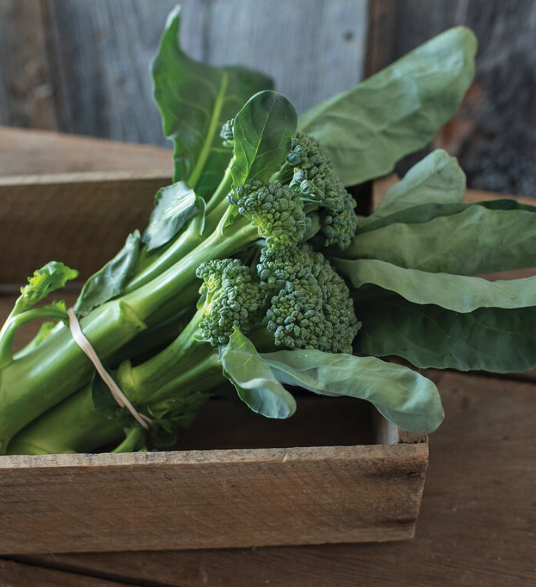 Screenshot 2026-04-12 at 8.13.49 AM.png