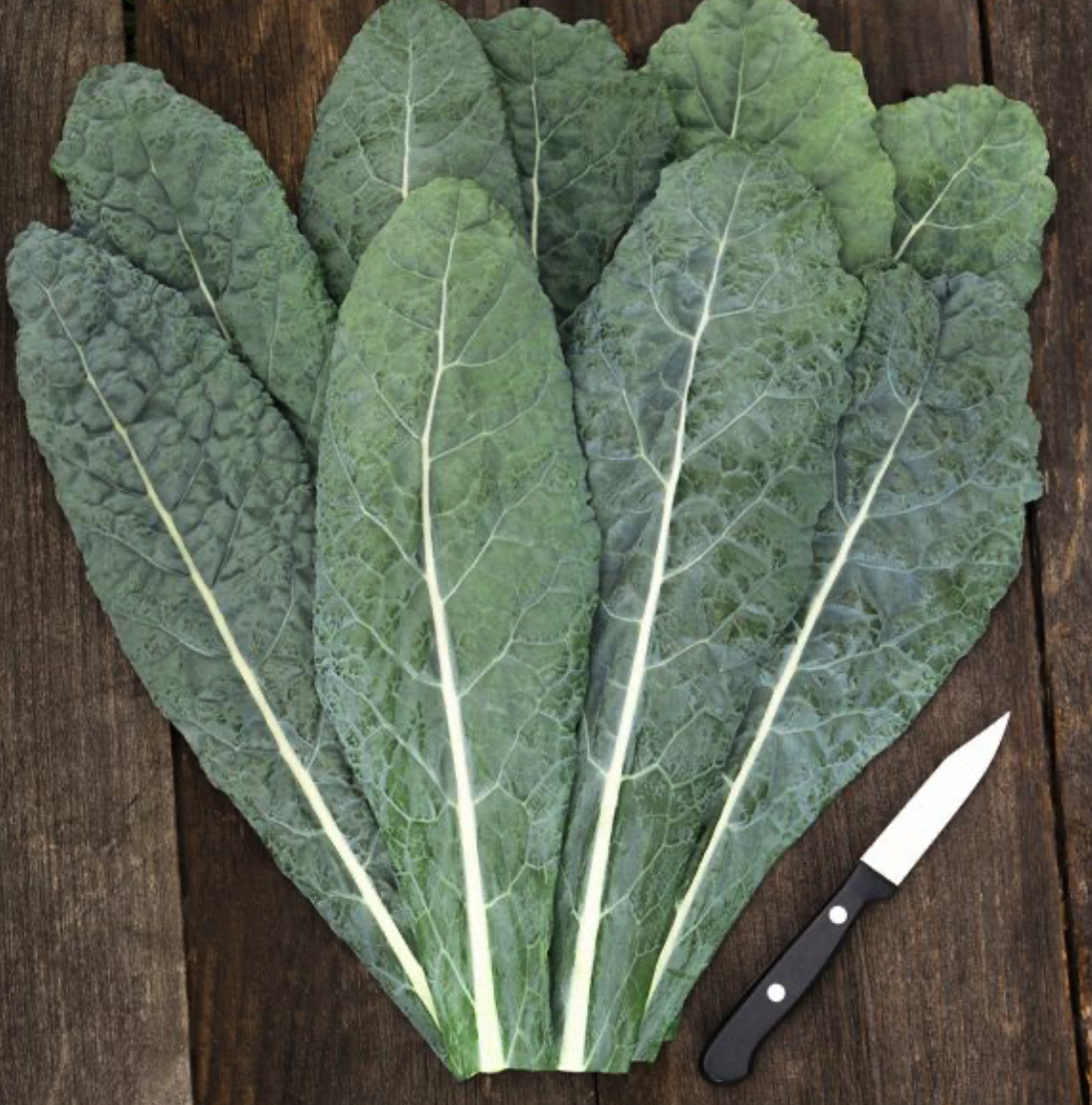 Screenshot 2026-04-12 at 7.58.06 AM.png