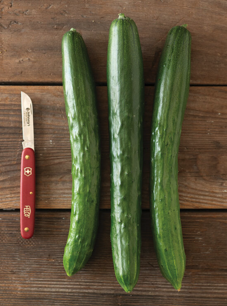 Screenshot 2026-04-12 at 10.55.32 AM.png