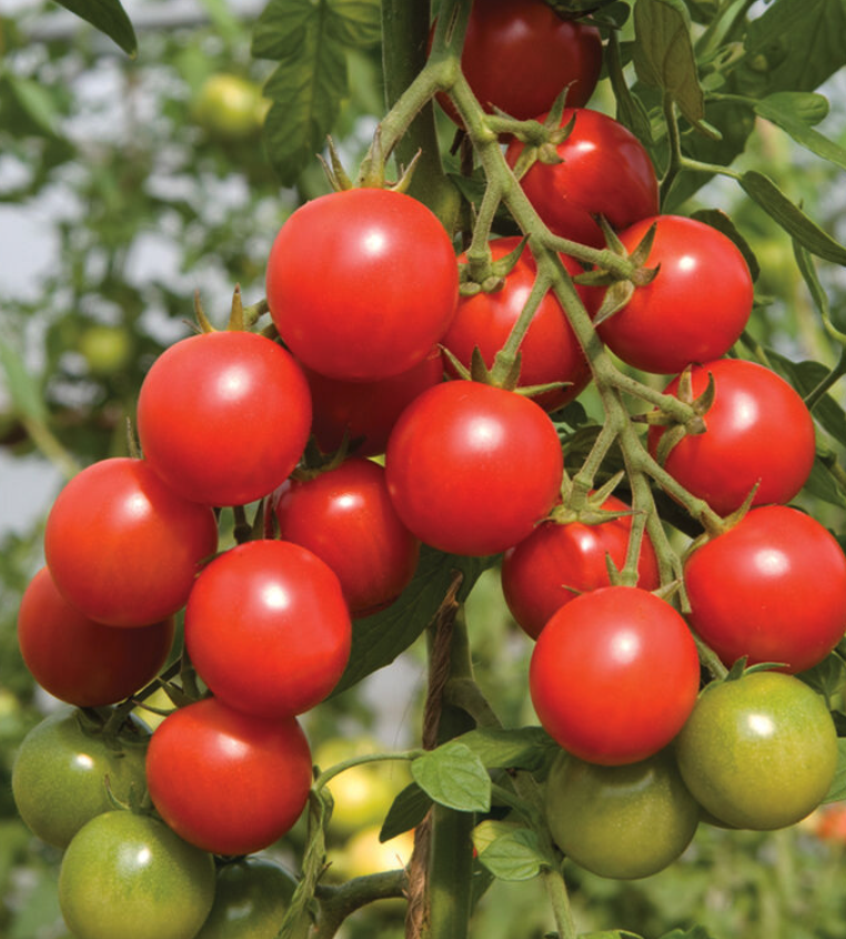 Screenshot 2026-04-12 at 8.40.09 AM.png