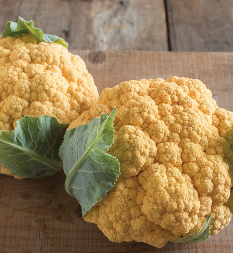 Screenshot 2026-04-12 at 8.03.13 AM.png