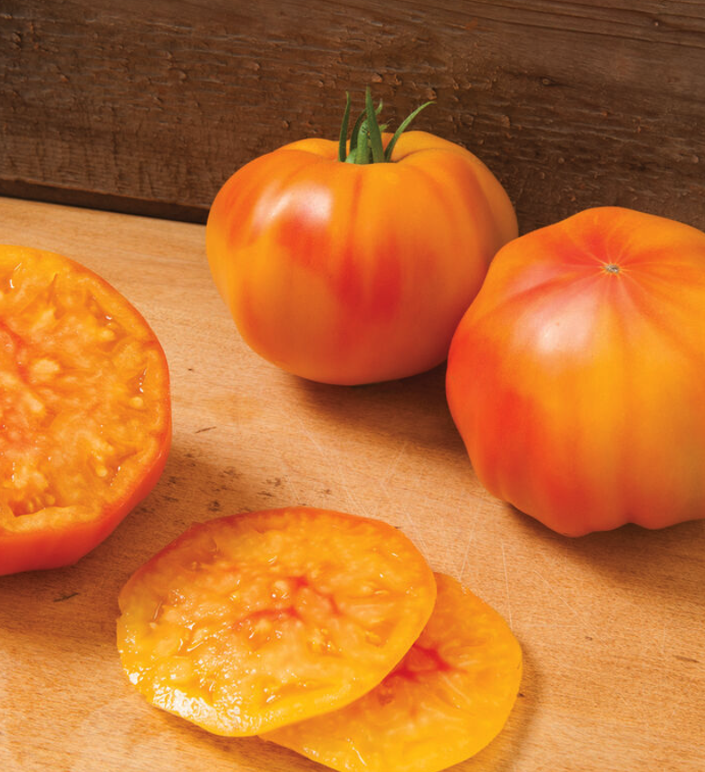 Screenshot 2026-04-12 at 8.46.12 AM.png