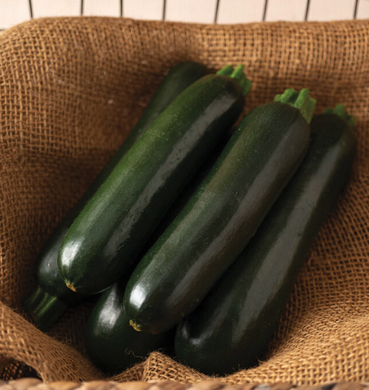 Screenshot 2026-04-12 at 11.06.15 AM.png