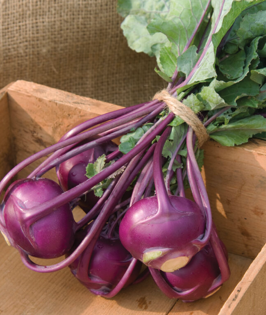 Screenshot 2026-04-12 at 7.41.47 AM.png