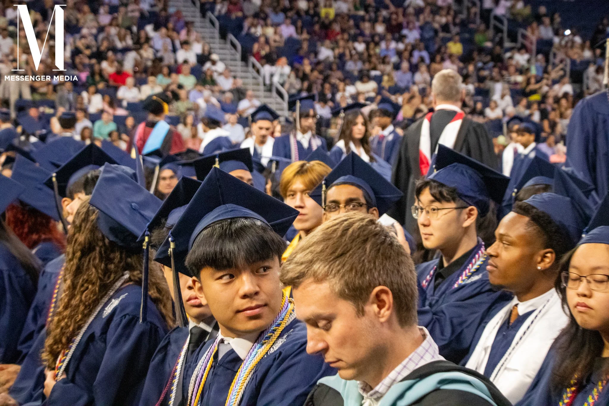 grad BG-113.jpg