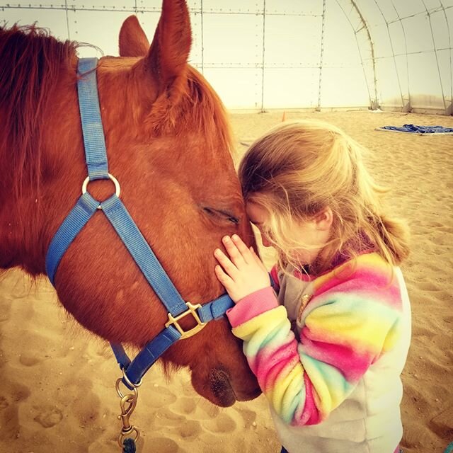 Horse therapy at its finest. 🥰🐴
#ealhorse #hearthorse #love #friendship #therapy #mentalwellness #natural #organic #healthylifestyle