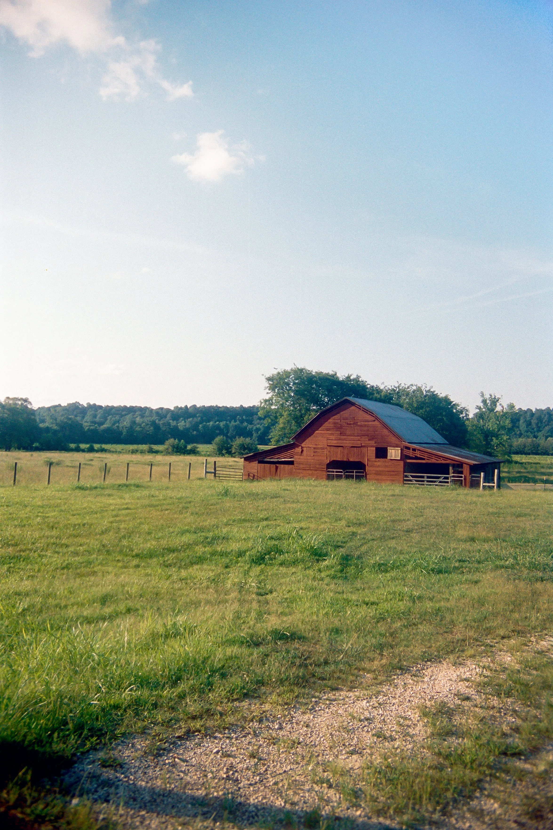 Film_Rich 462-S1-0004_1.JPG