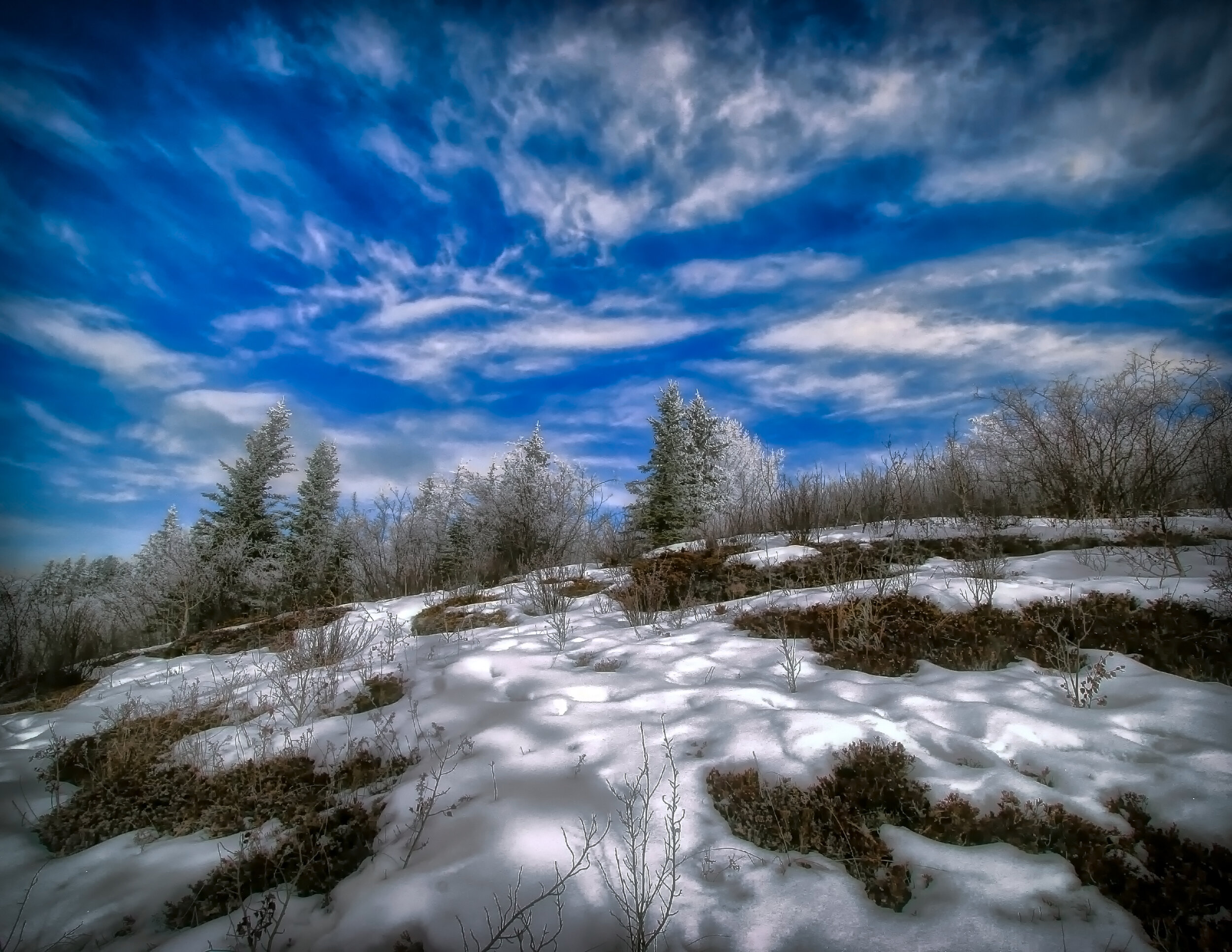 glenmore2.jpg