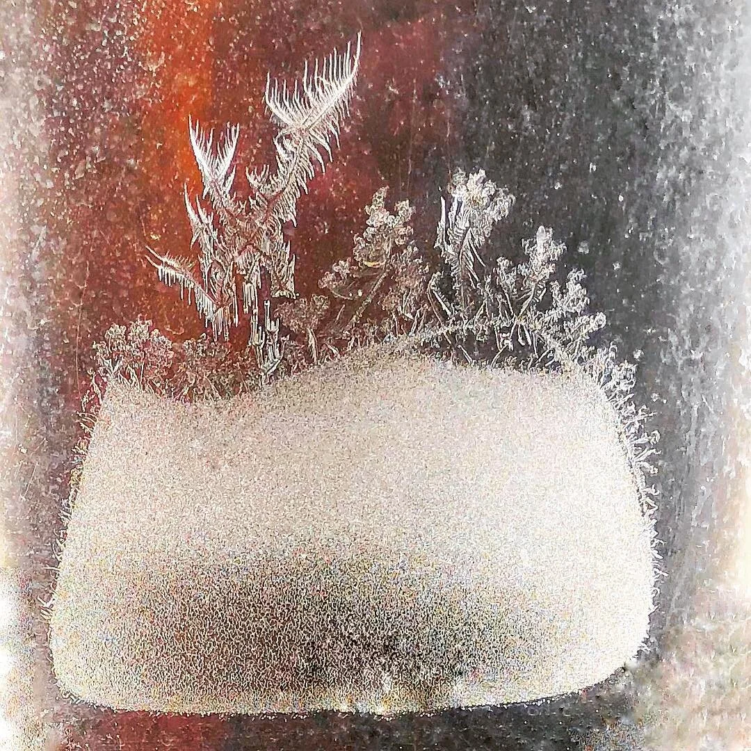 insta00046.jpg