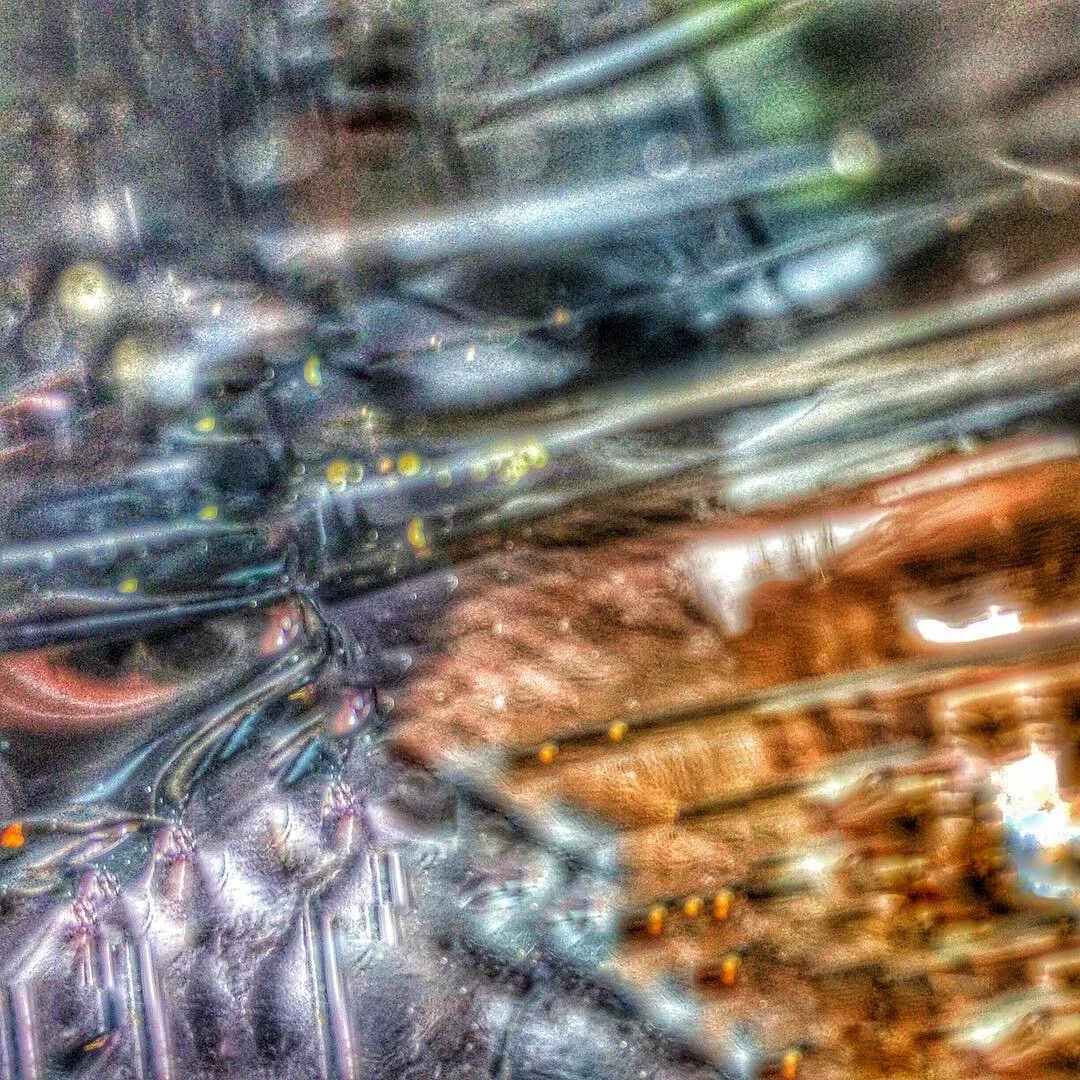 insta00001.jpg