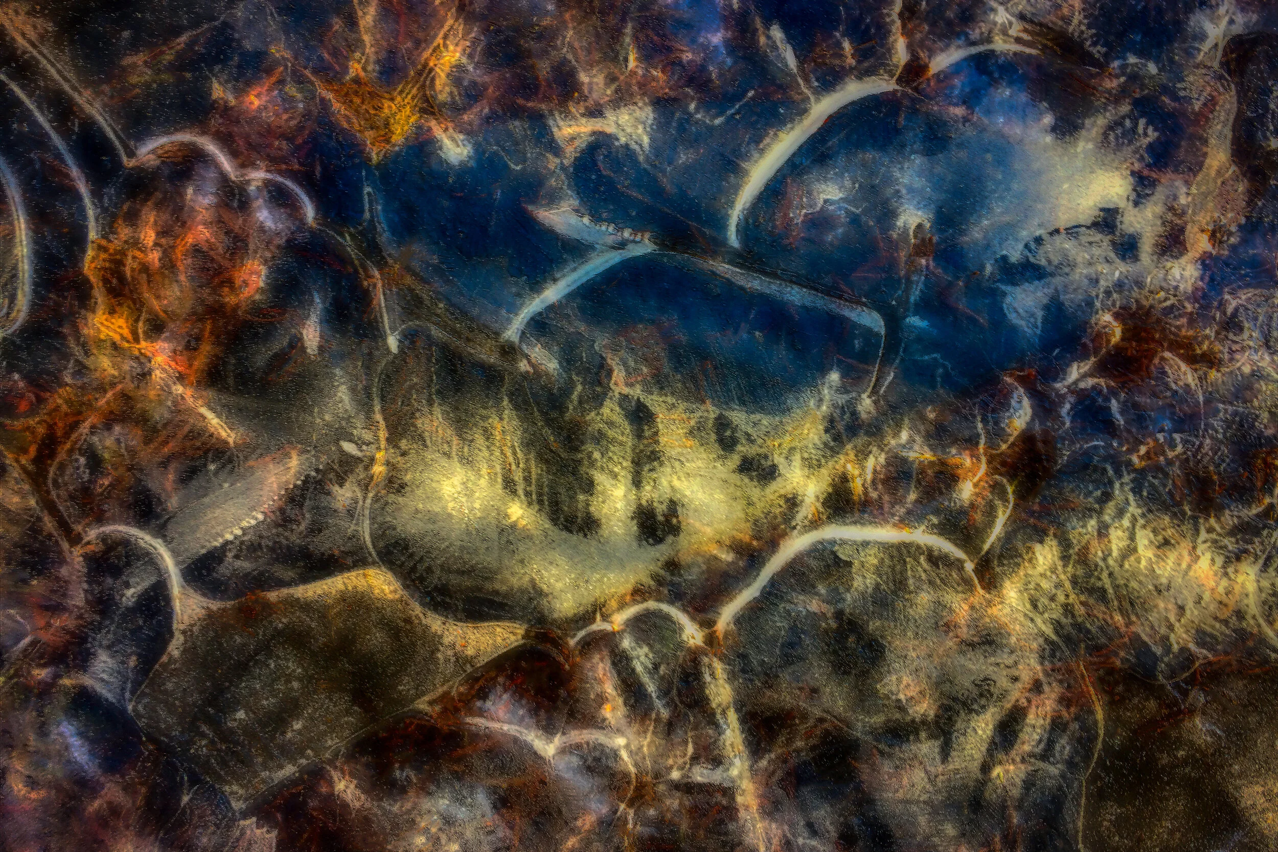 Hieronymus, 2019
