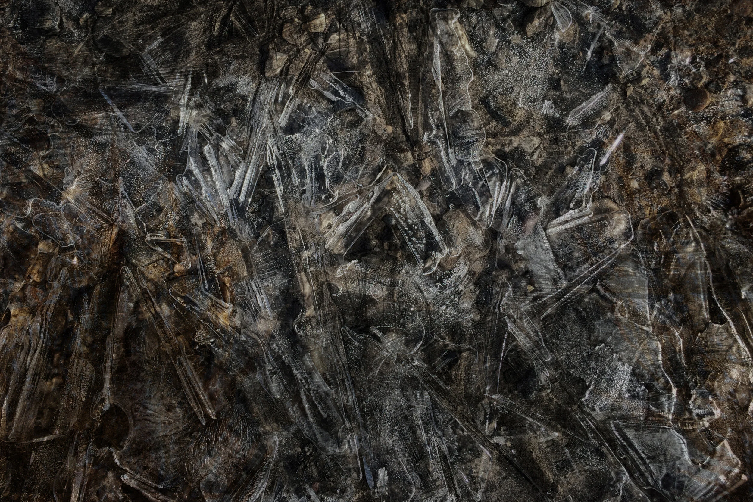 Oppressioun, .2019