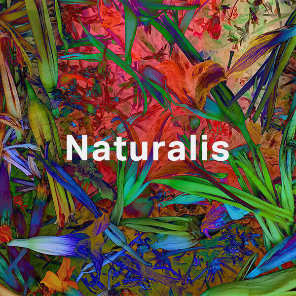 NaturalisSQ_opt.jpg
