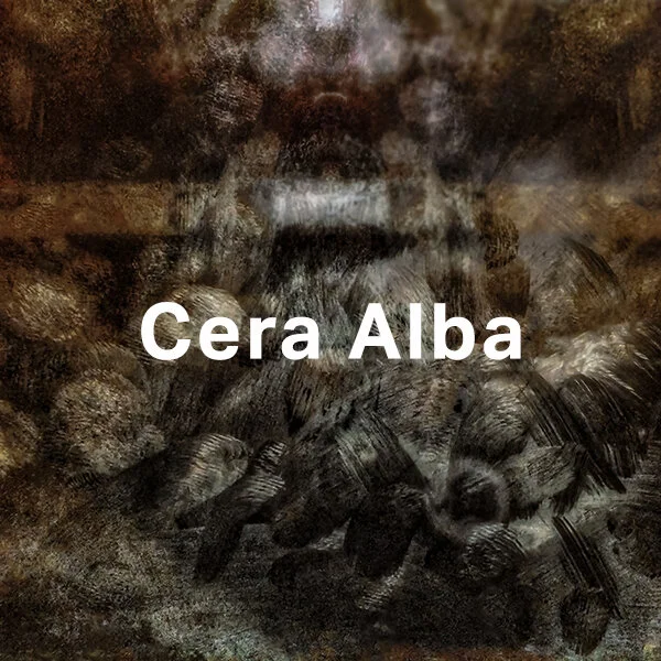 Cera Alba.jpg