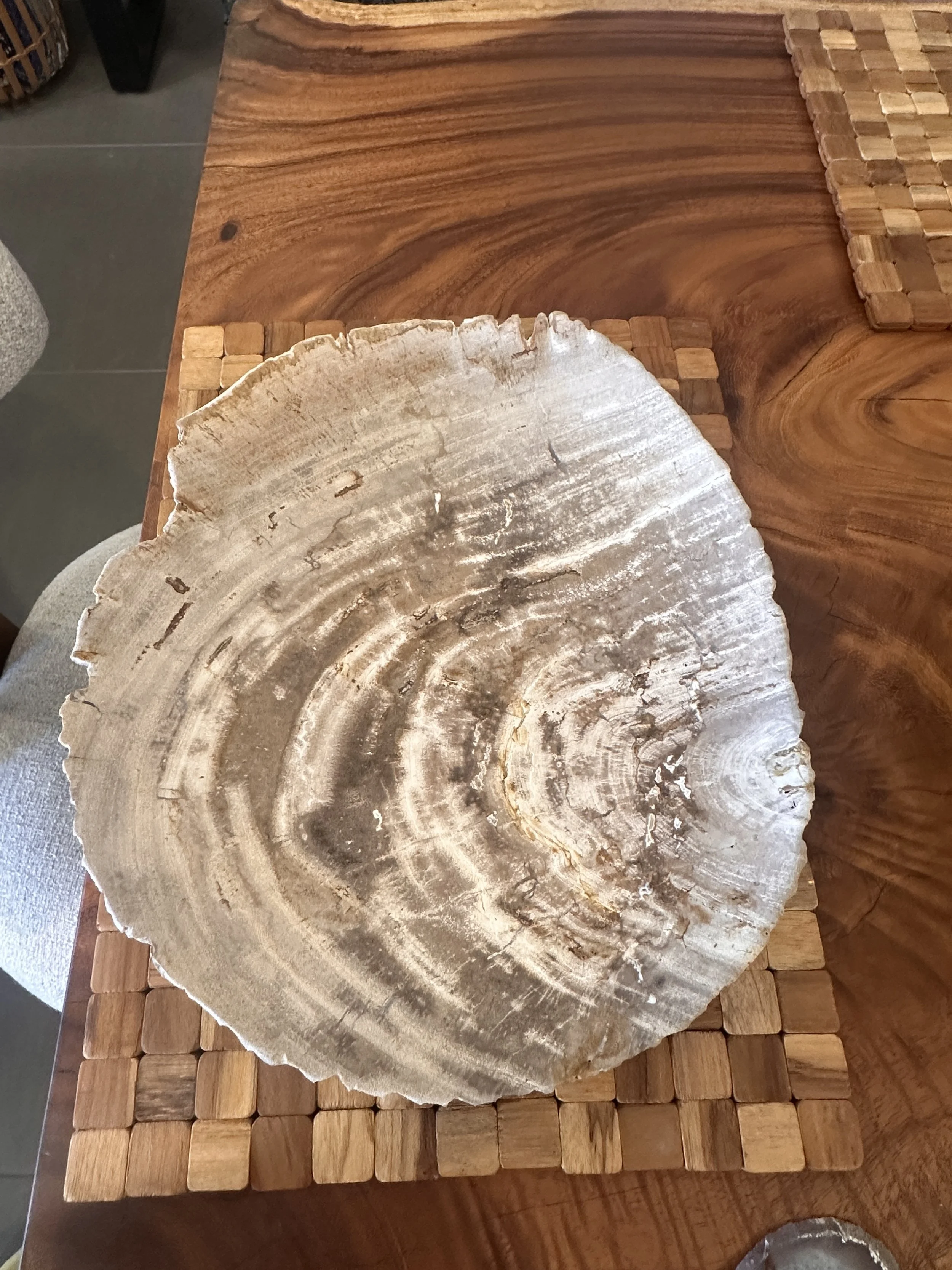 Petrified Platter.JPG