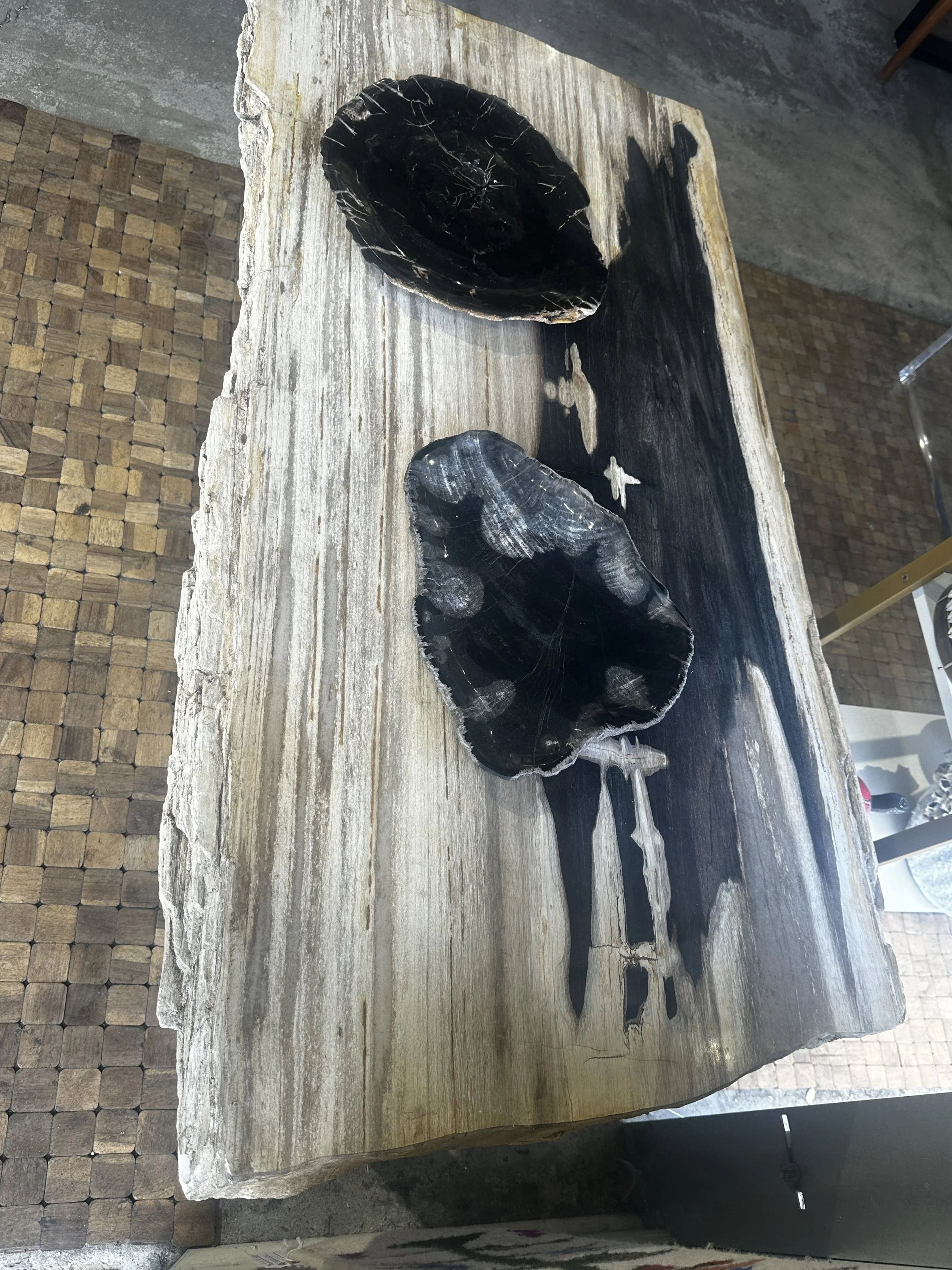 large petrified coffee table.JPG