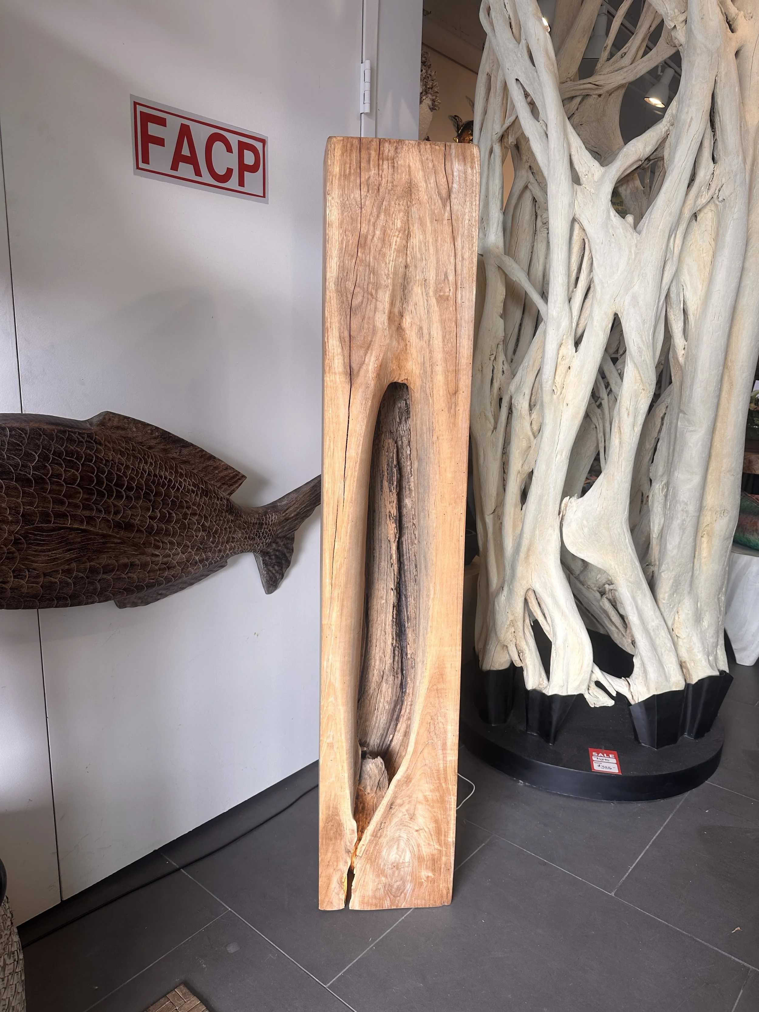 Teak lamp 62".JPG