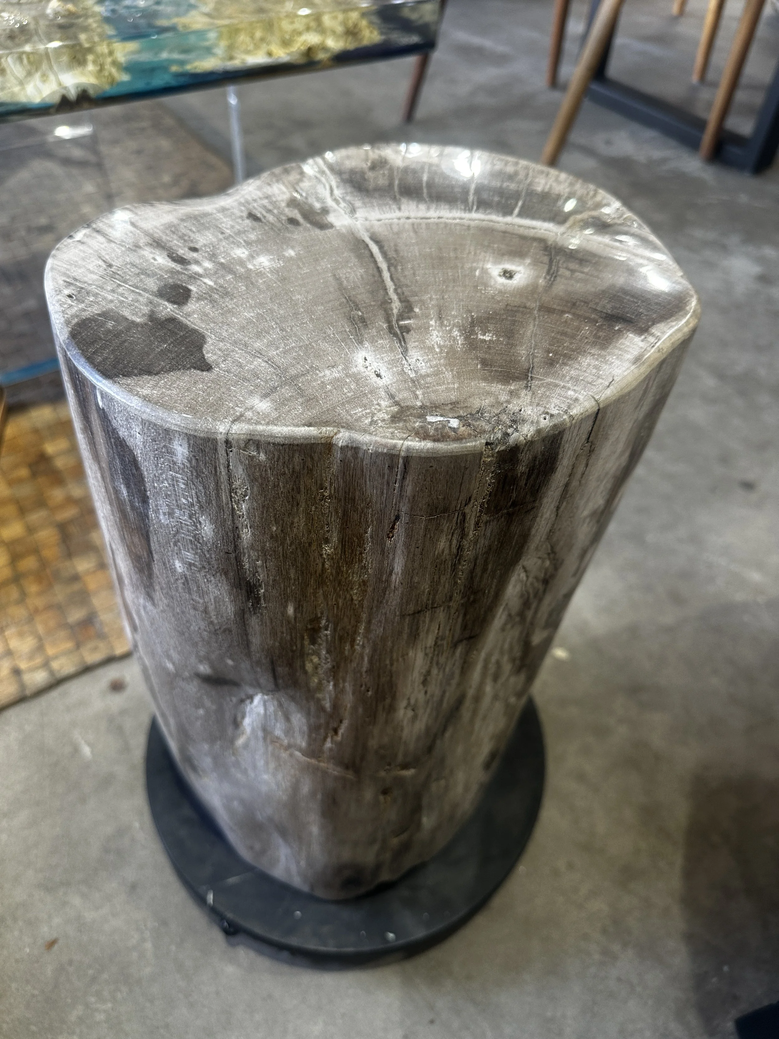 petrifed stump in taupe and gray.JPG