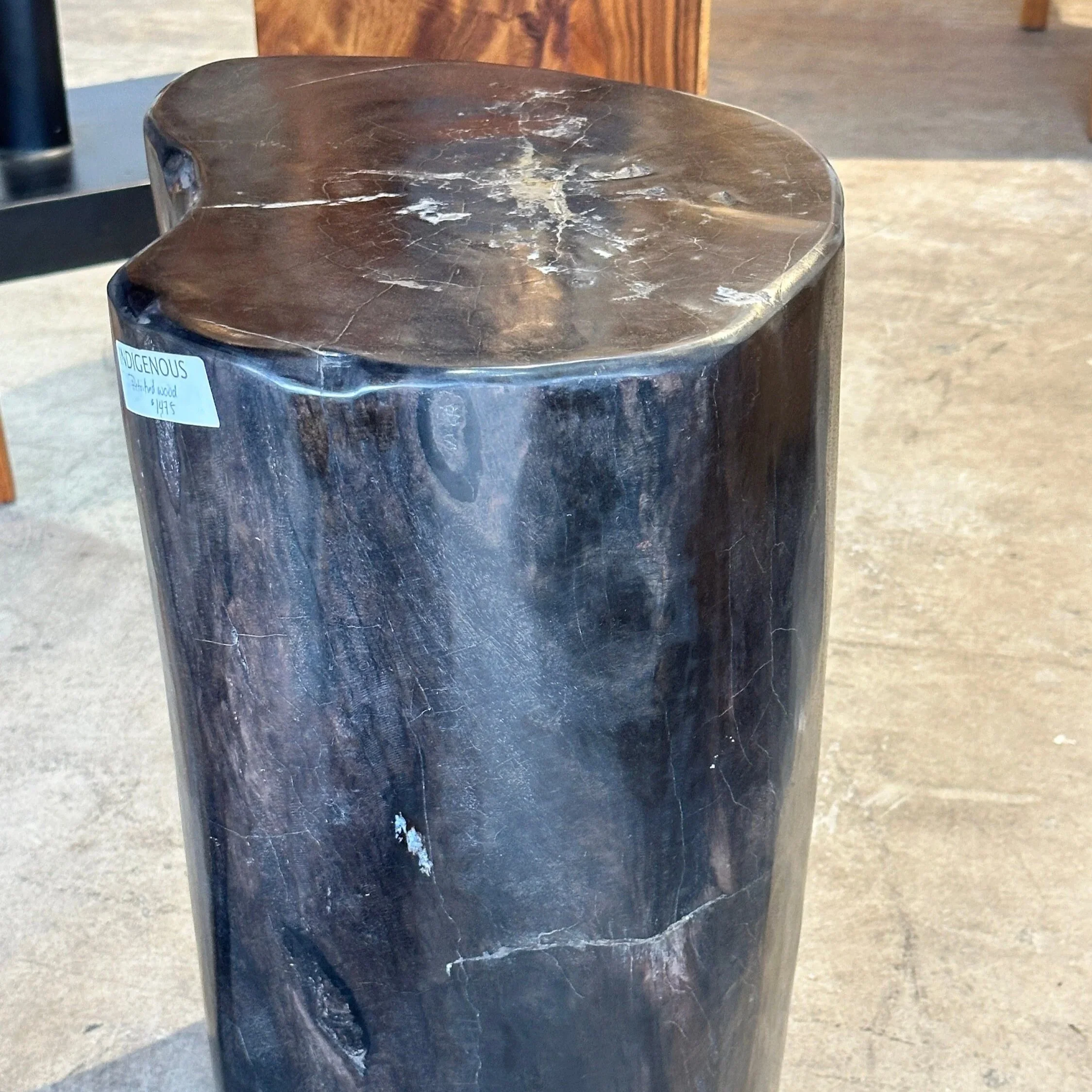 20+inch+tall+black+petrified+stump.jpg