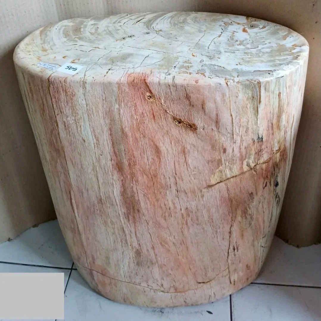 White+and+Pink+Petrified+Stump.jpg