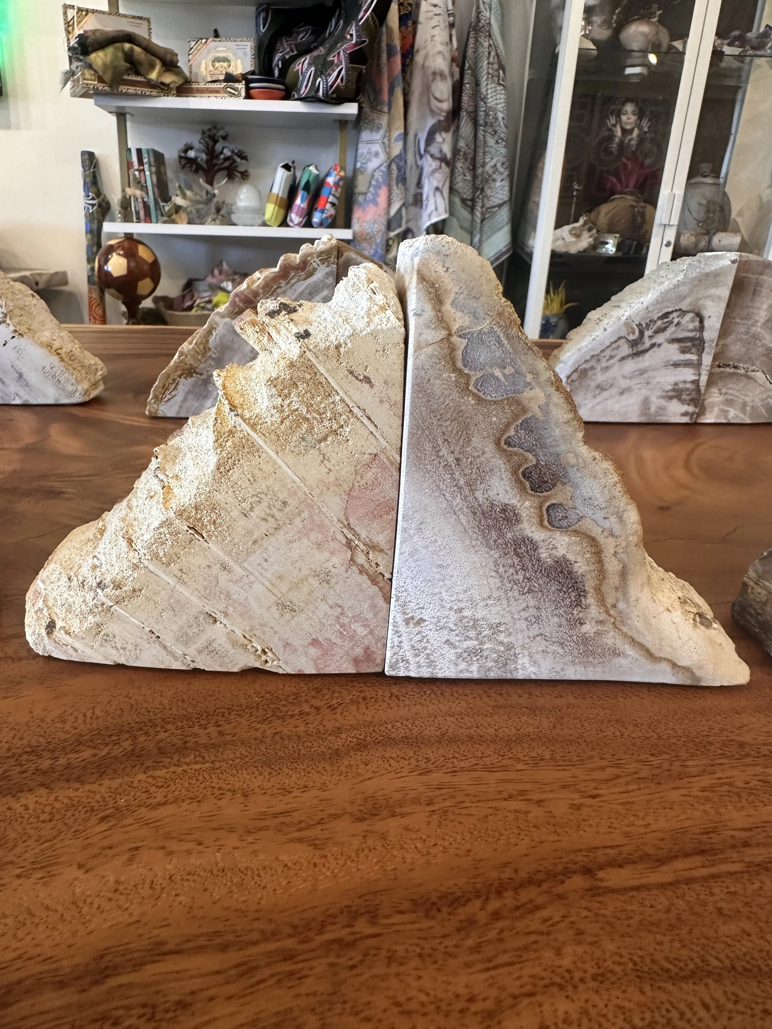 petrified bookends options.JPG
