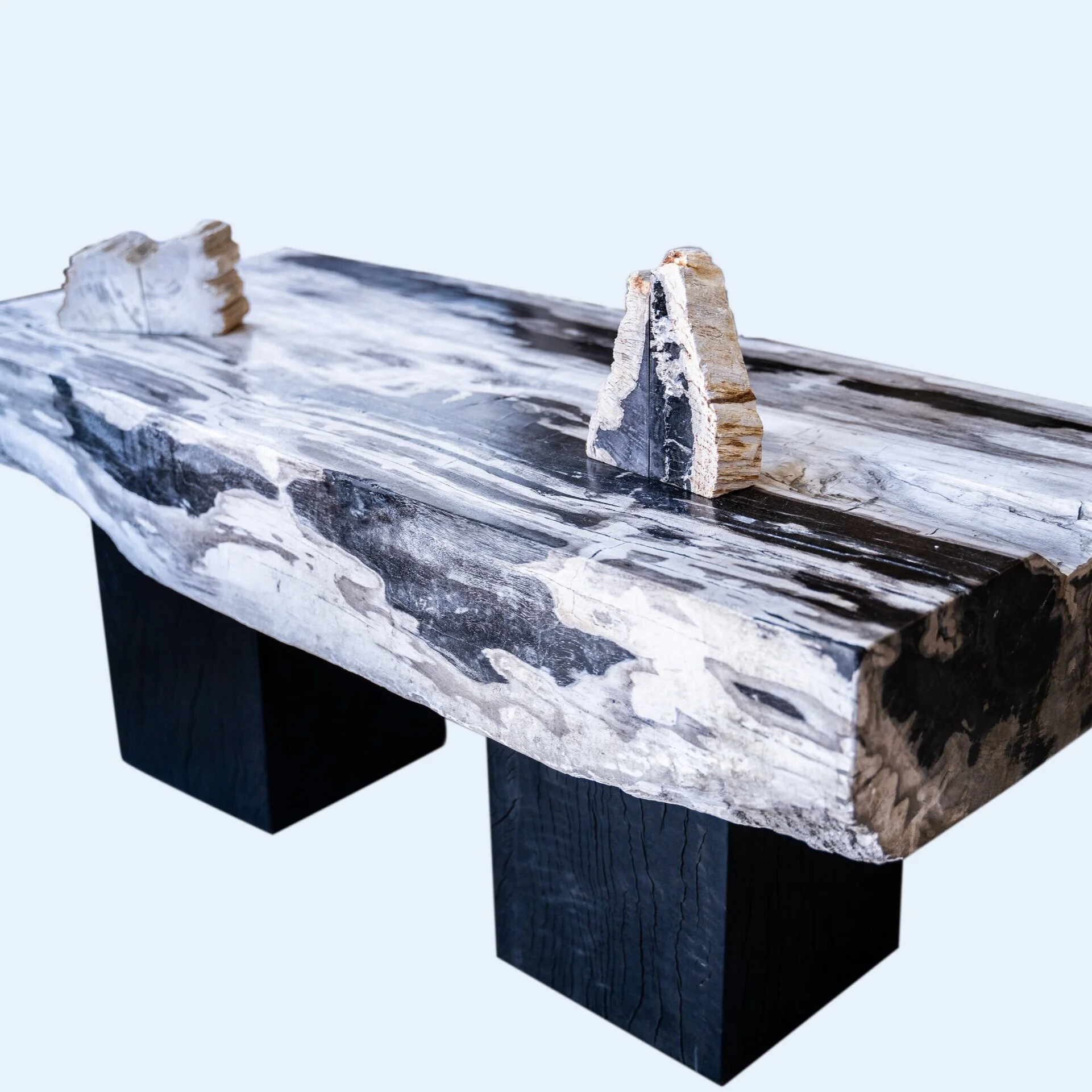 Black and white petrified wood table with two stone bookends on top.