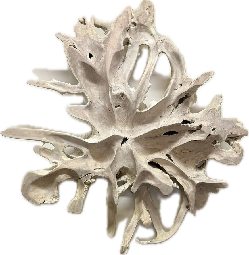 Teak Wall Sculpture - white.png