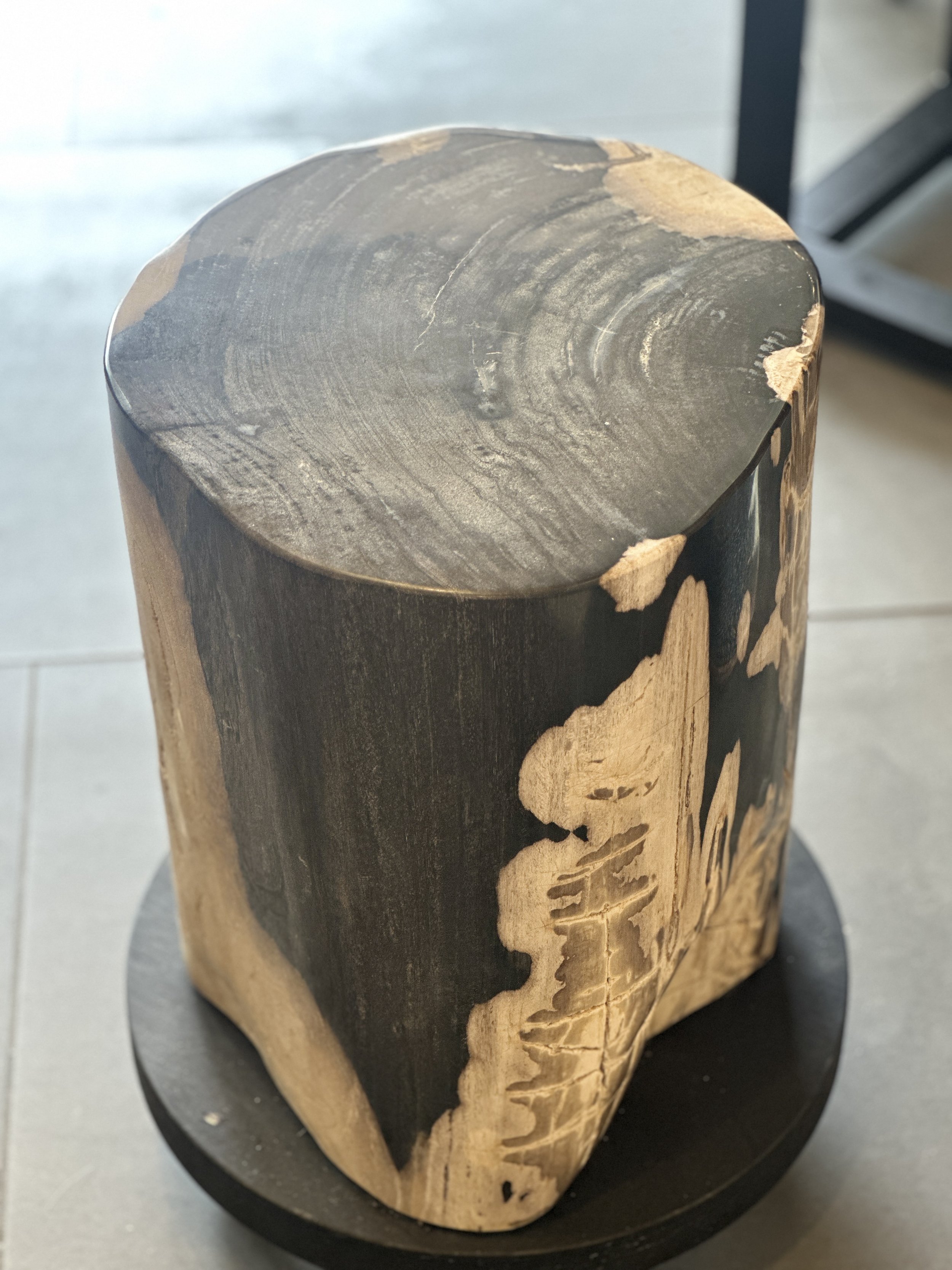 Tan and Black Petrified Stump